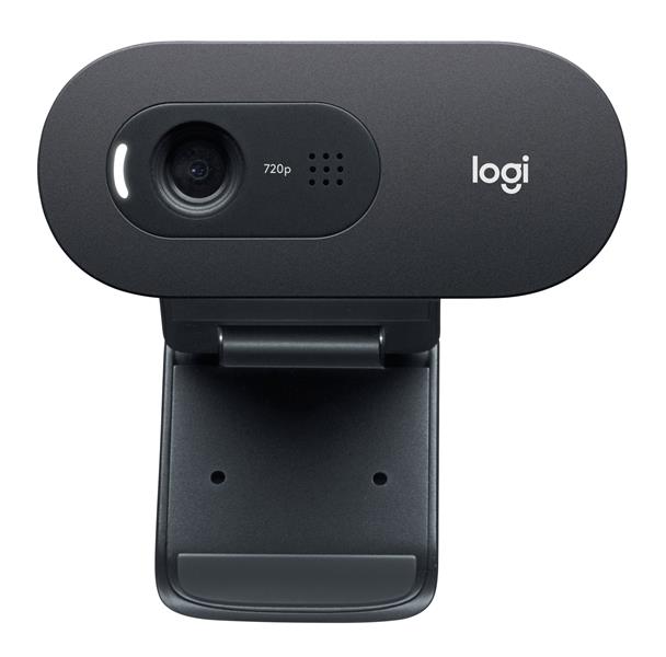 Logitech C505e webcam 1280 x 720 Pixels USB Zwart