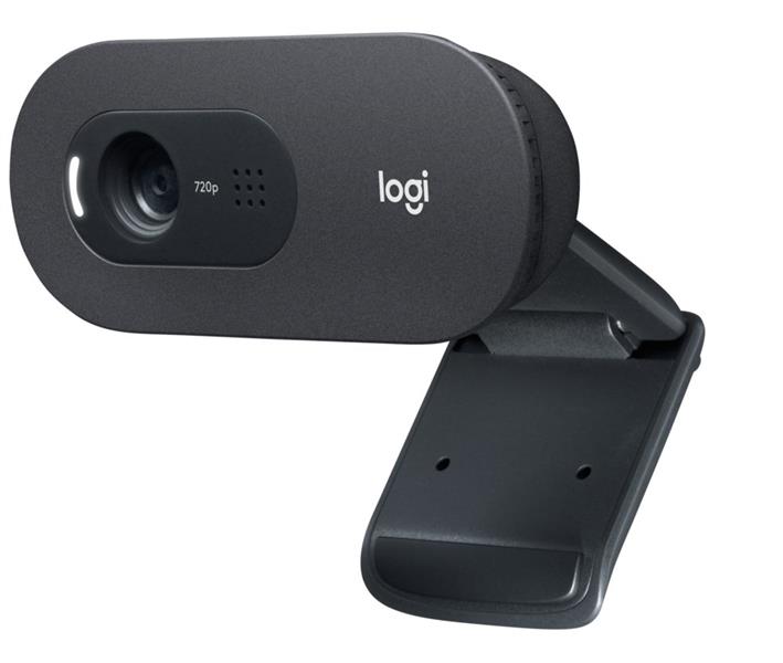 Logitech C505e webcam 1280 x 720 Pixels USB Zwart